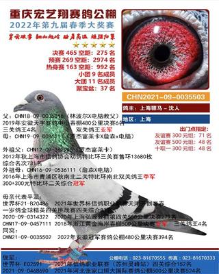 骠马5503