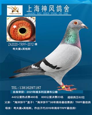 决赛23名