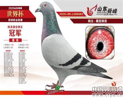 20年四关鸽王总冠军