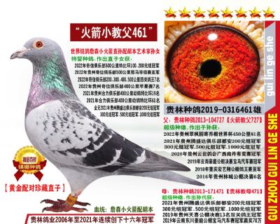 2022年奇信500公里冠军