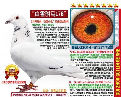 “白雪驸马178”