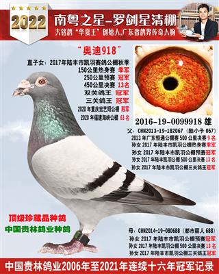 陆丰公棚冠军父亲