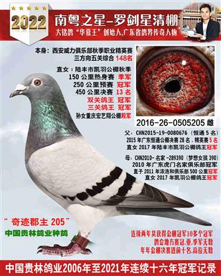 陆丰公棚冠军母亲