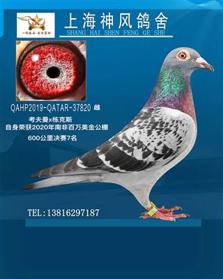2020南非百万美金7名