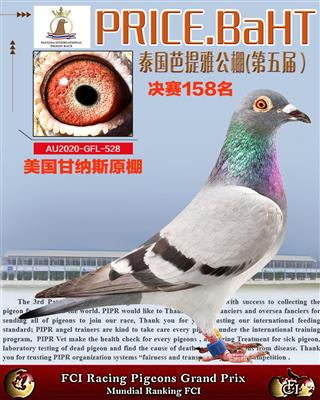 泰国芭提雅公棚决赛158名