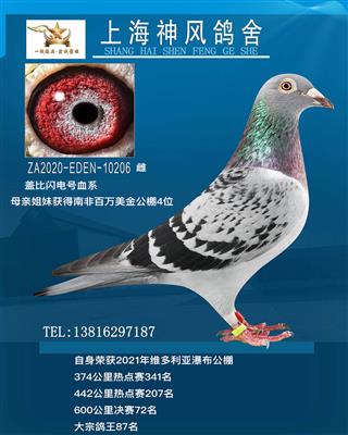 决赛72名