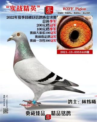 500公里总季军200元专环冠军