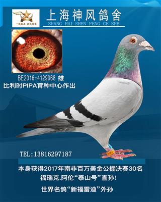 南非百万美金决赛30名