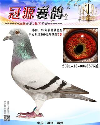 500公里千元专环7名