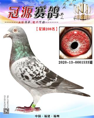 『星球公棚208名』