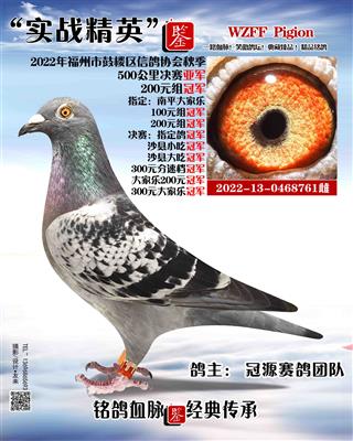 （九冠凰）500公里总亚军。