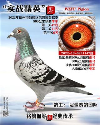 500公里季军