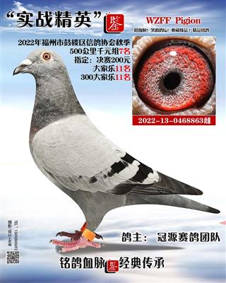 千元组7名