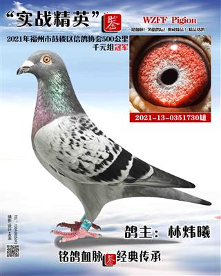 21年夏季千元组冠军