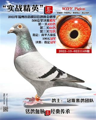 500公里决赛殿军