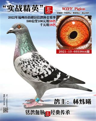 2022年夏千元组18名