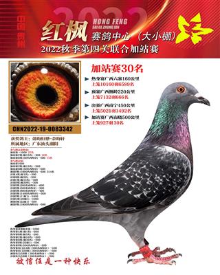 【红枫大小棚加强赛30名】