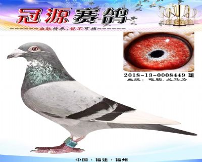『海峡公棚决赛10名』