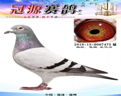 『金三角三关综合25名』