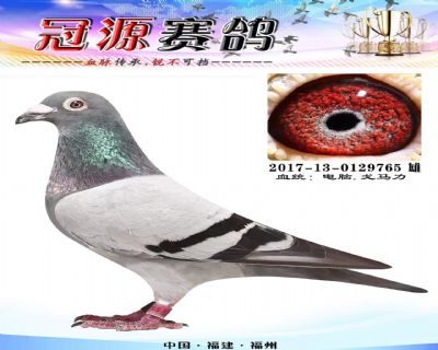 『长乐协会550公里16名』站站加亚军