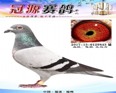 『长乐协会550公里30名』