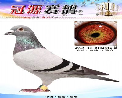 『国家赛市6名区季军』