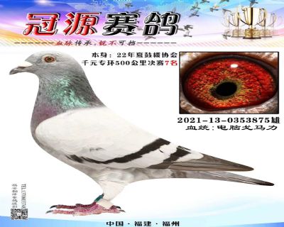 『鼓楼协会千元组7名』
