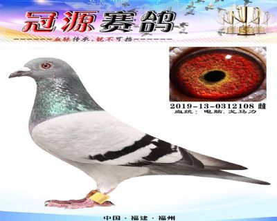 『长乐协会三关综合36名』
