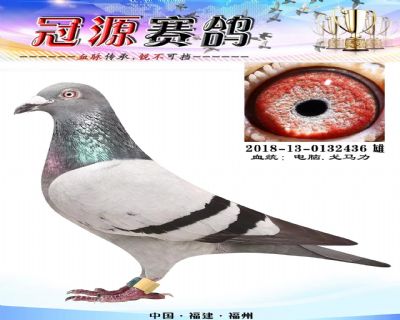 『国家赛12名』