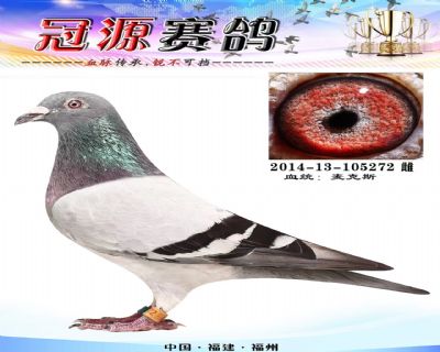 海峡公棚决赛10名母亲