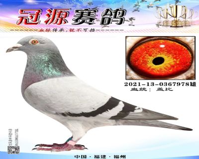 『9名X9名姑』