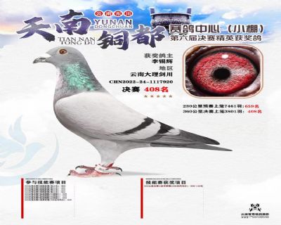 天南铜都小棚