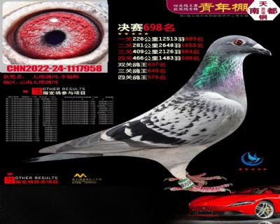 天南铜都青年棚
