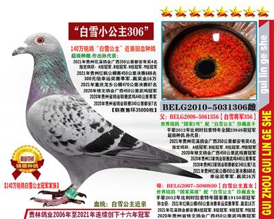 “白雪小公主306”