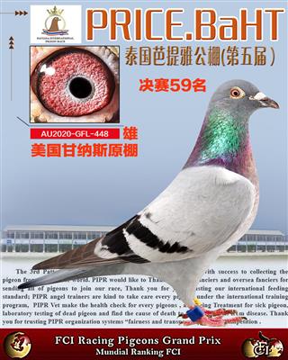 泰国芭提雅公棚决赛59名