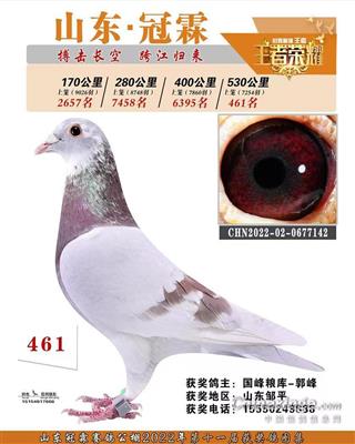 2022年山东冠霖赛鸽公棚决赛461名