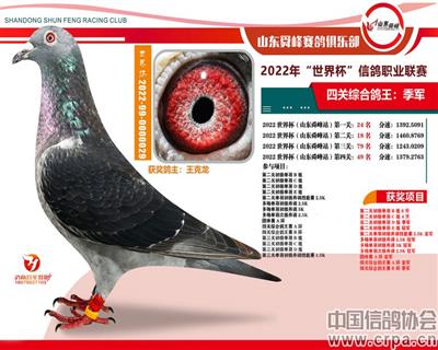 “世界杯”四关鸽王 季军