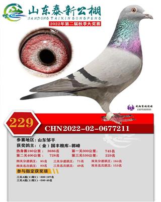2022年泰新公棚决赛229名