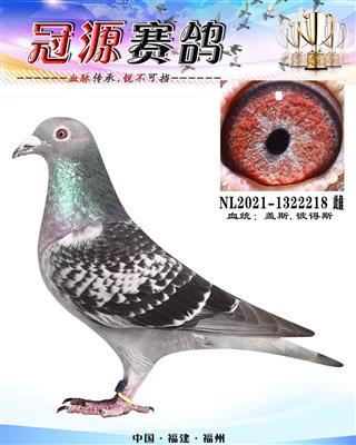 奥林匹克尼尔斯孙女