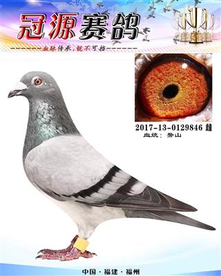 550公里A组14名。