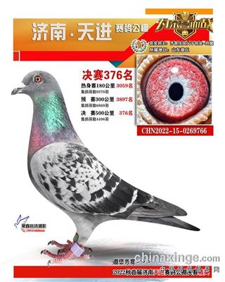 庆良利奥766
