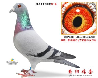 小浩翔461 伊微塔直子*玉女直女