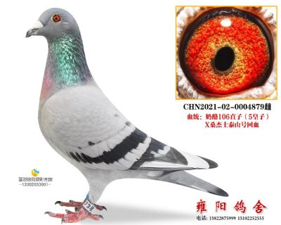 天津浩翔473名 五皇子X泰山号