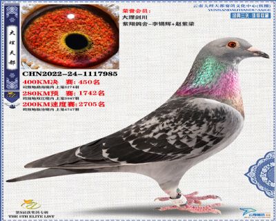 大理天都450位