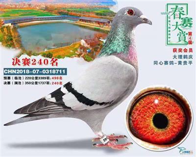 冠军团队：金环圭多直女一飞翔240