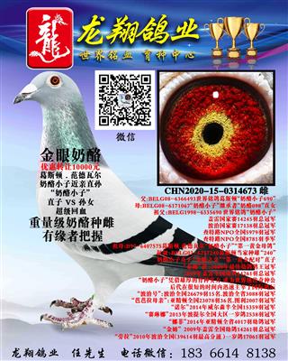 “奶酪小子”近亲孙女出售