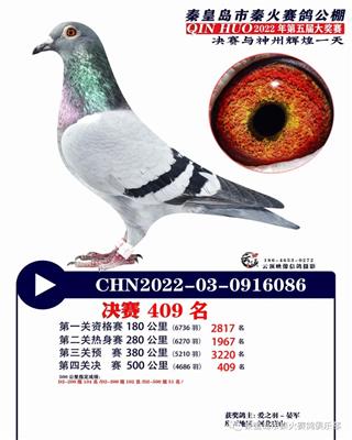 2022年秦火公棚成绩鸽