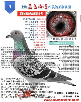 骠马9815