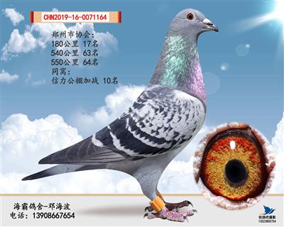 汽车G l 8之妹（己售湖南）