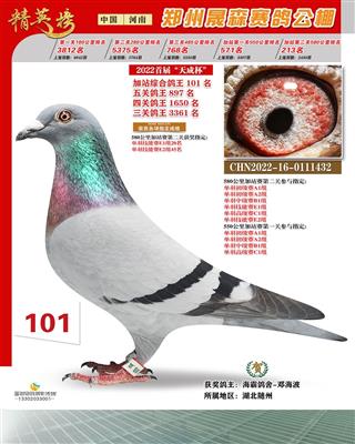 大距离双关101名（己售）